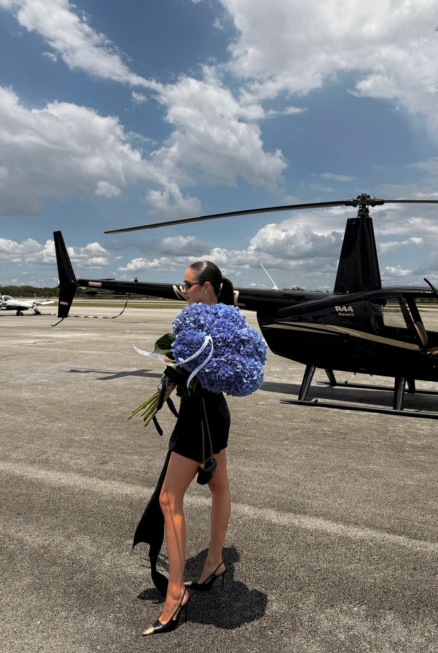 #105 XL Blue hydrangea (10 stems)