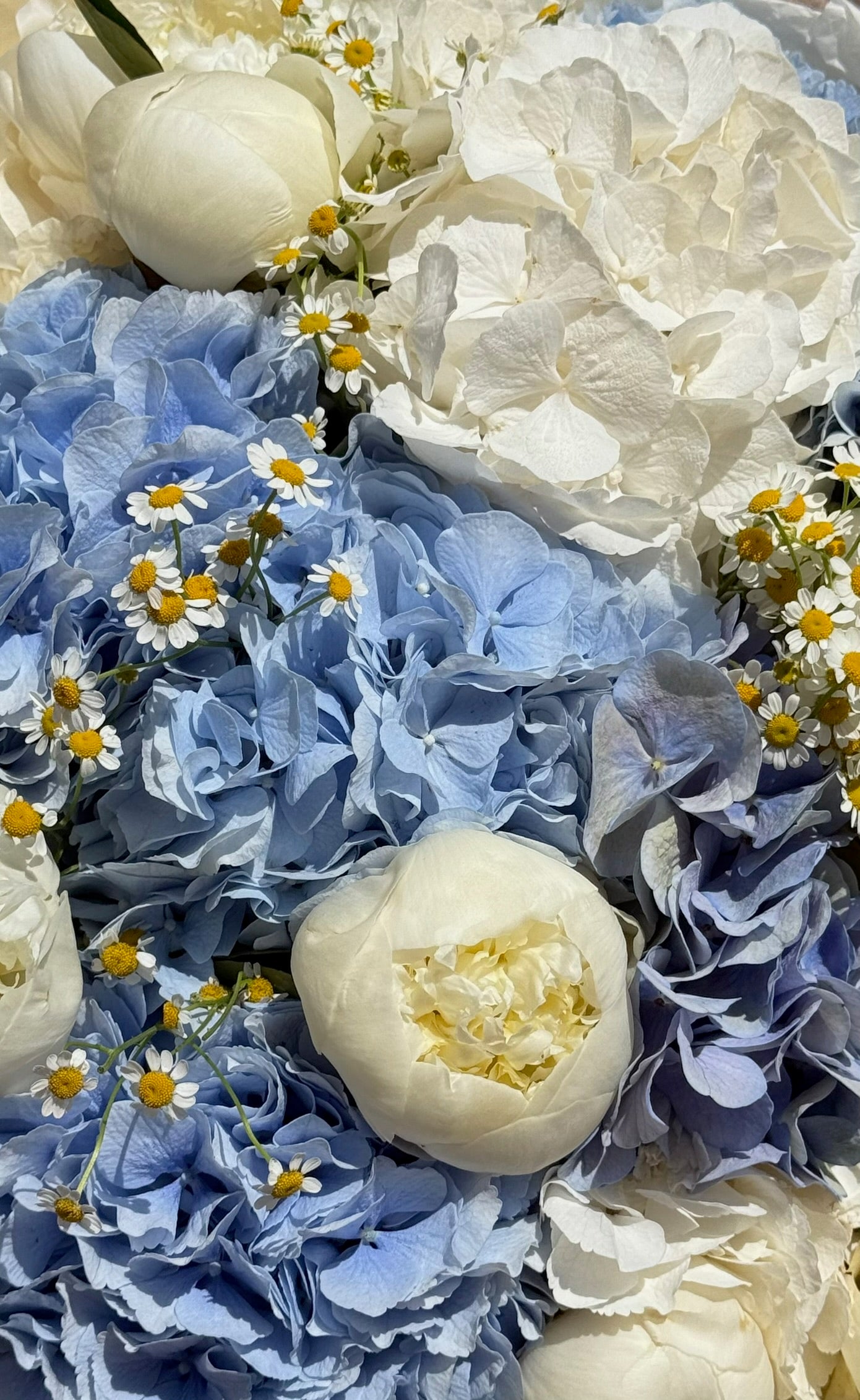 #101 White Cream with Blue Touch