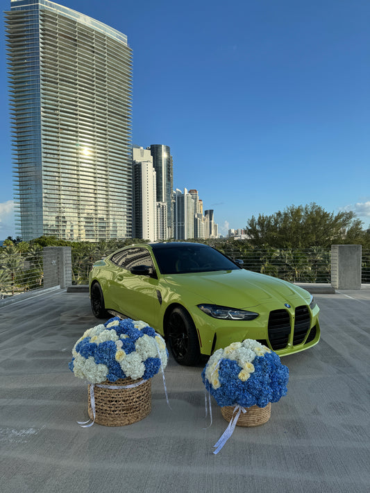 Ocean Power – XL & L Designer Basket Arrangements