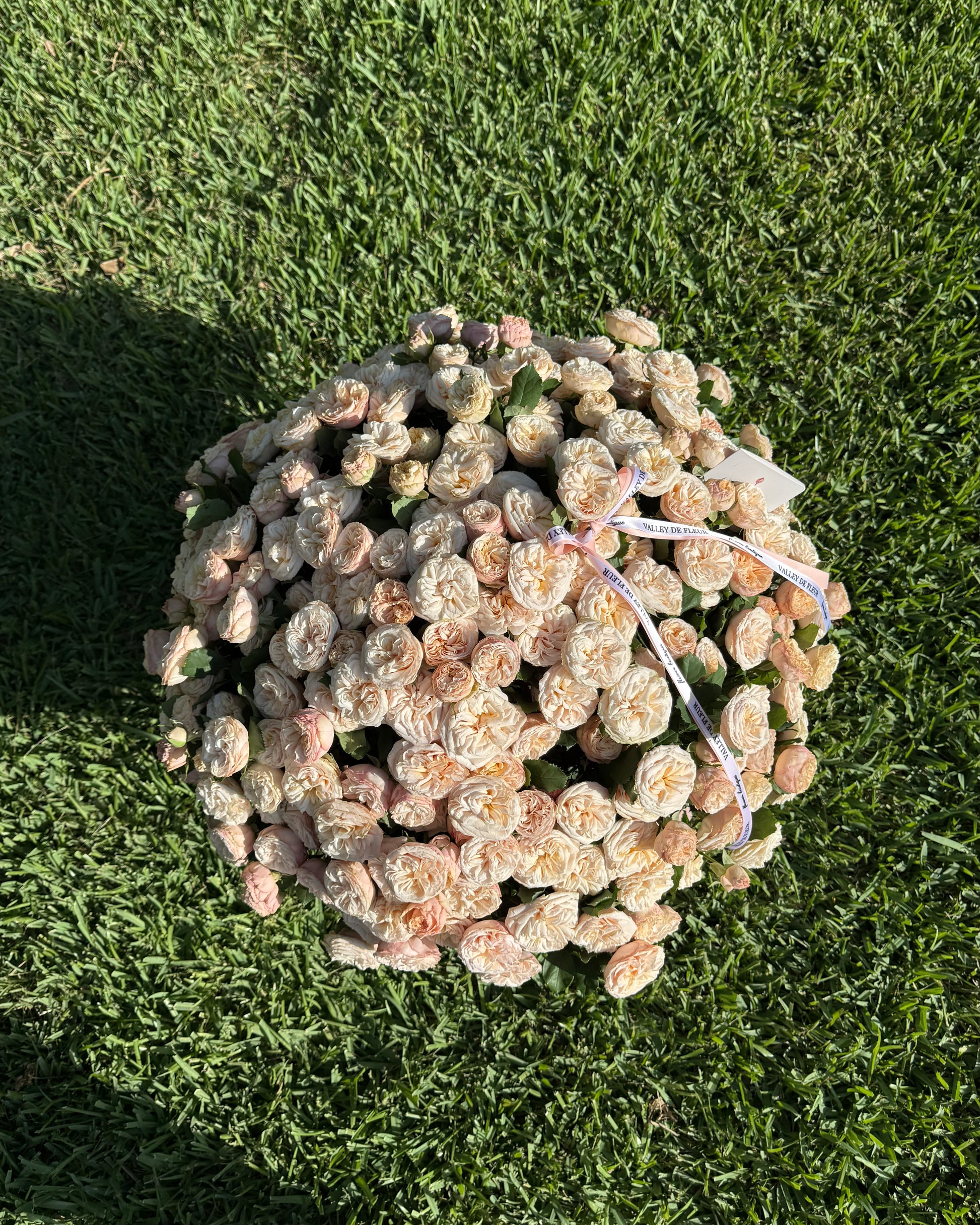 Top view of cream spray roses showcasing delicate cream-colored blooms