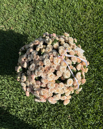 Top view of cream spray roses showcasing delicate cream-colored blooms