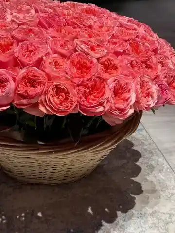 Peach Garden Roses Large Basket featuring elegant peach garden roses arranged beautifully in a premium basket