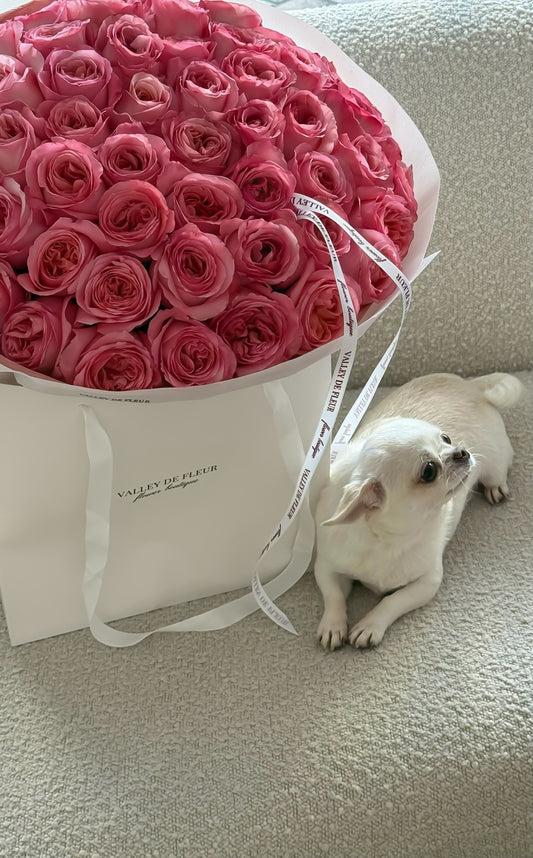 Pink roses bouquet with 50 pink garden roses