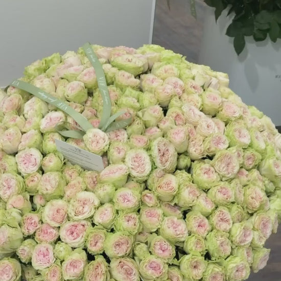 Green spray roses birthday arrangement in an XL white box, ready for delivery across Miami-Dade and Broward County