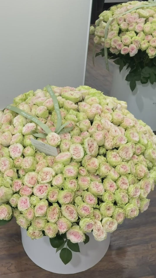 Green spray roses birthday arrangement in an XL white box, ready for delivery across Miami-Dade and Broward County