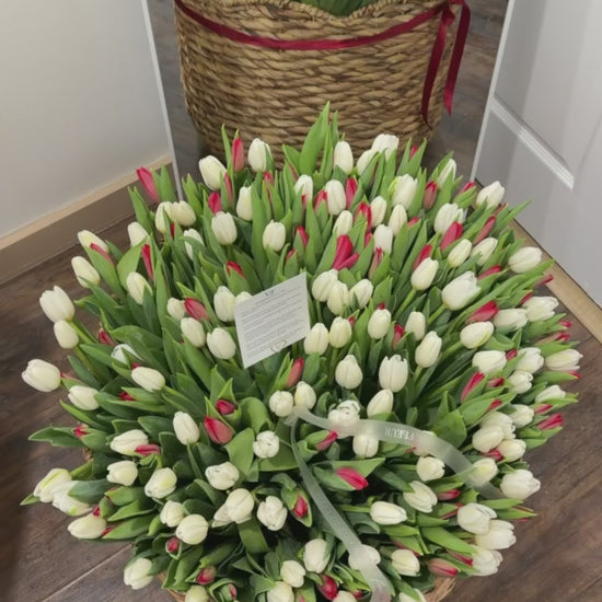 XL basket of red and white tulips ready for birthday flower delivery across Miami-Dade and Broward County