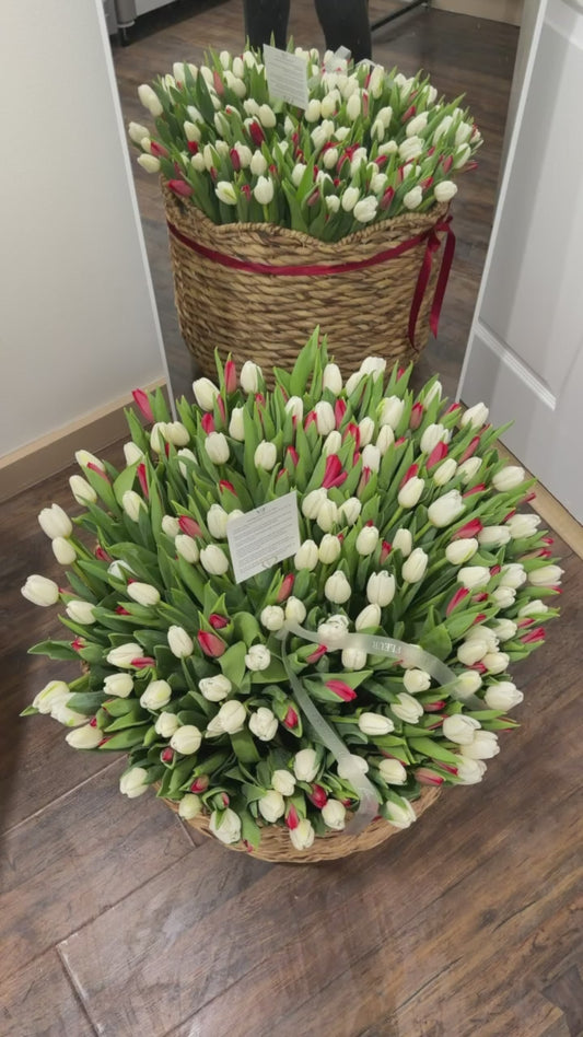 XL basket of red and white tulips ready for birthday flower delivery across Miami-Dade and Broward County