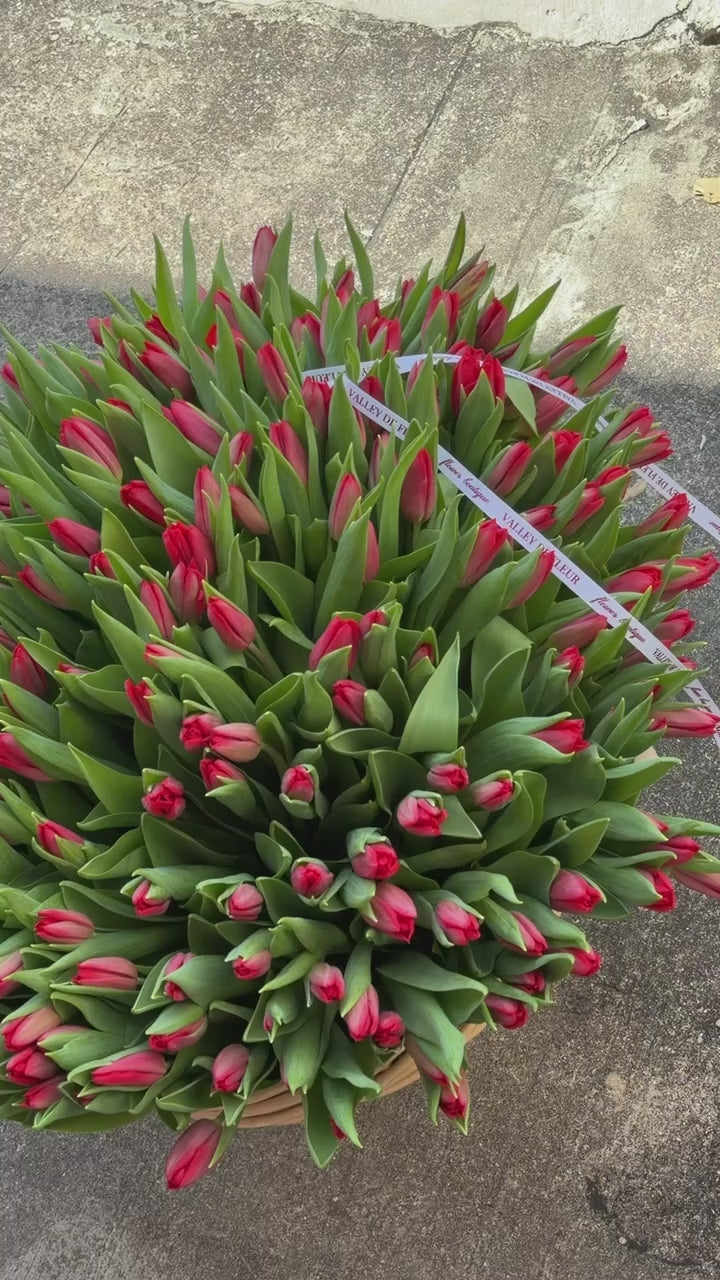 Luxury red tulip birthday flower arrangement prepared for delivery