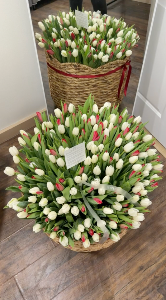 XL woven basket filled with red and white tulips for a colorful birthday flower arrangement