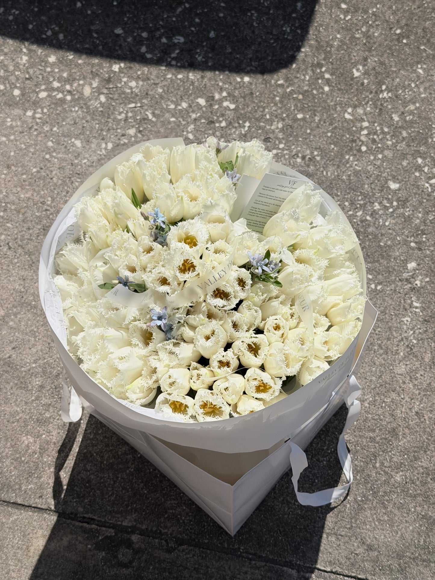 White ruffled tulips birthday bouquet with delicate blue floral accents