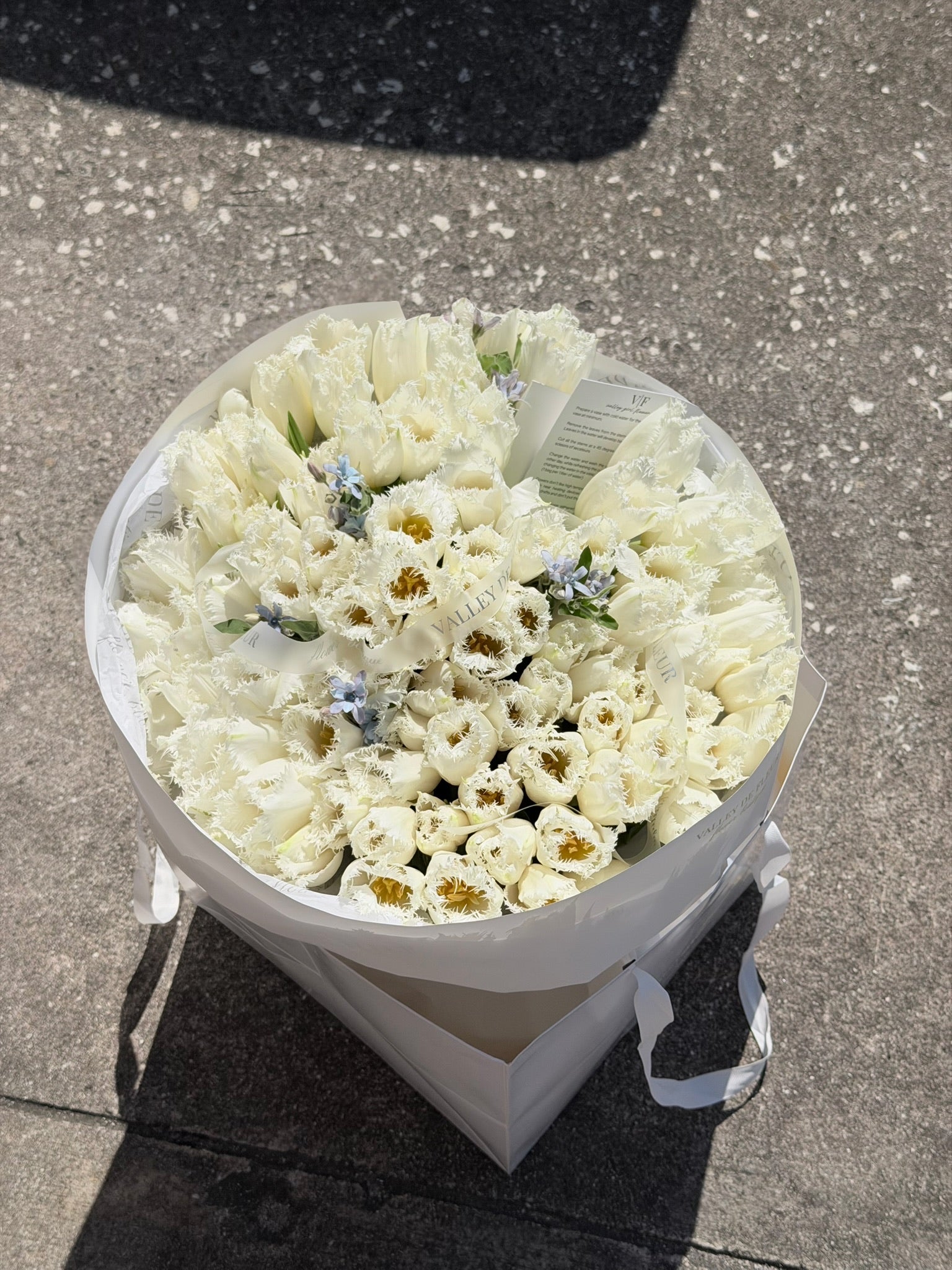 White ruffled tulips birthday bouquet with delicate blue floral accents